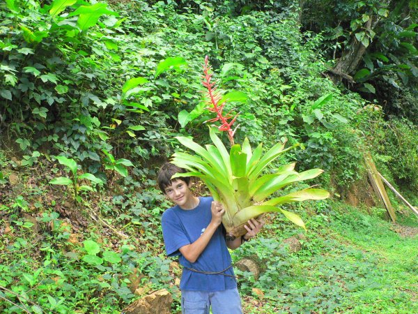 28- Romain offre des fleurs a sa maman 